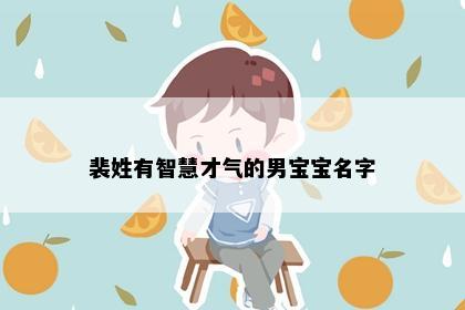 裴姓有智慧才气的男宝宝名字