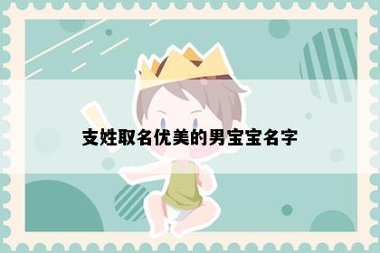 支姓取名优美的男宝宝名字