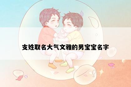 支姓取名大气文雅的男宝宝名字