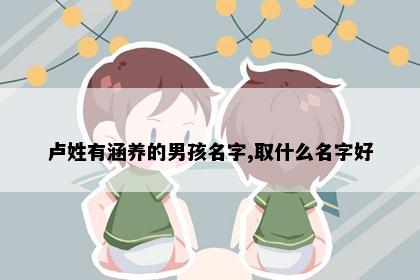 卢姓有涵养的男孩名字,取什么名字好