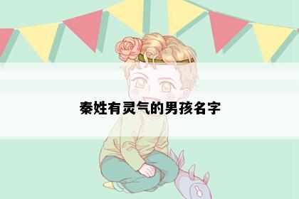 秦姓有灵气的男孩名字